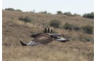 Property photo 15 - 92,312+/- Acres Offered in 14 Tracts